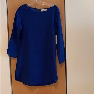Royal blue shift dress gold zipper